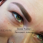 Ombre brows